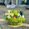 Giỏ Trái Cây QT8 Giỏ Trái Cây QT8