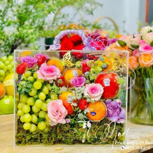 Hộp trái cây cao cấp 15