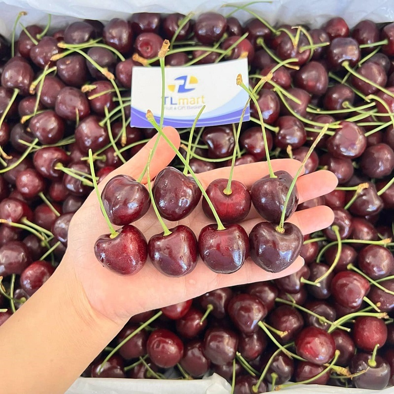 Shop bán trái cây nhập khẩu giá sỉ uy tín tươi ngon chuẩn chất lượng