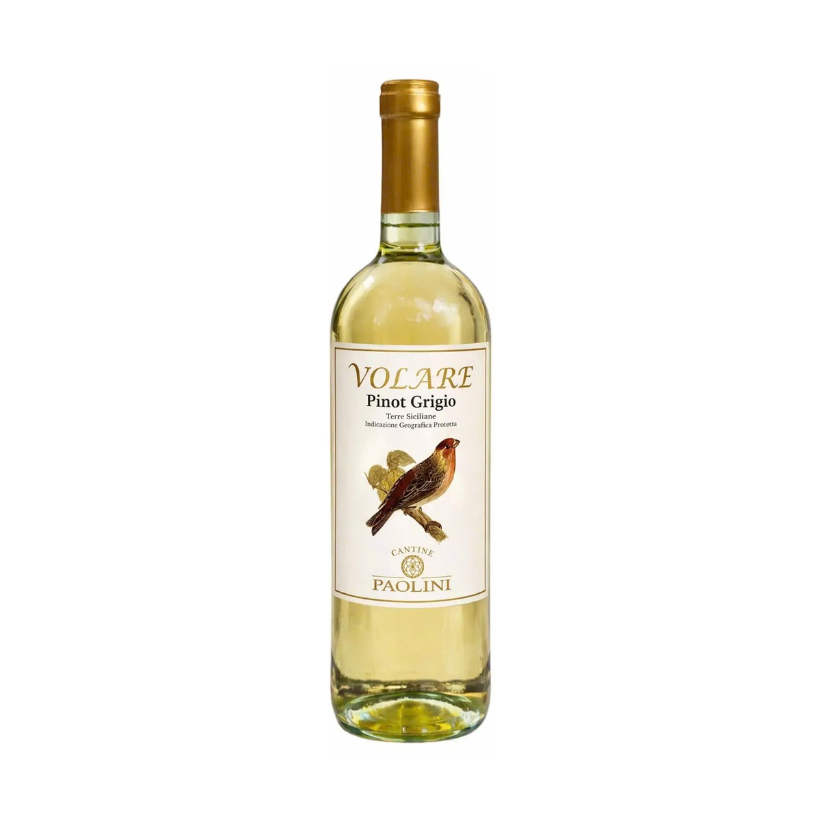 chuan-volare-pinot-grigio-italy Rượu vang trắng Volare Pinot Grigio Ý